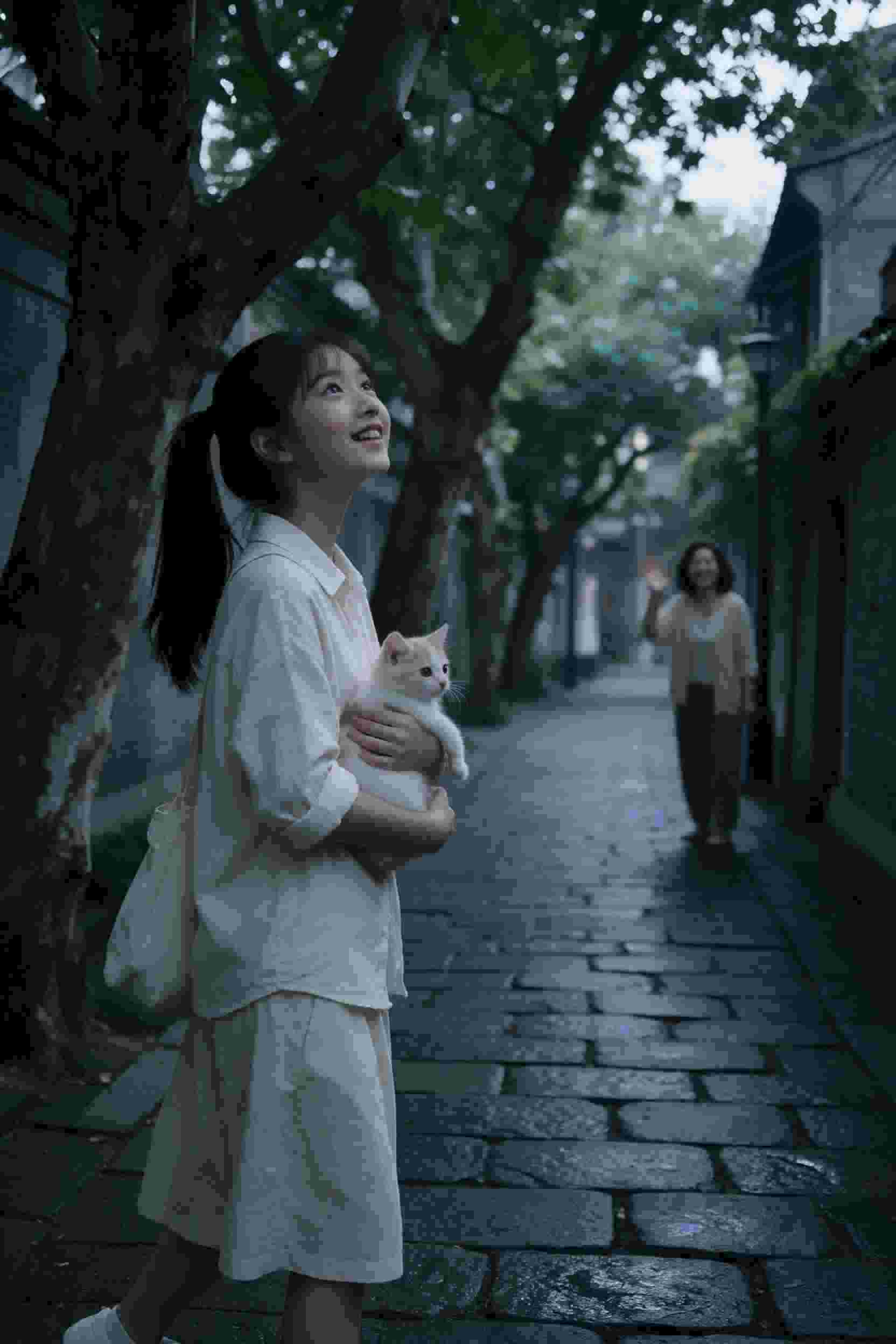 黑暗森林